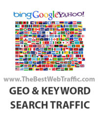 Targeted Country Local Search Website Traffic